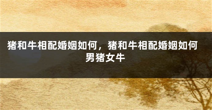 猪和牛相配婚姻如何，猪和牛相配婚姻如何男猪女牛