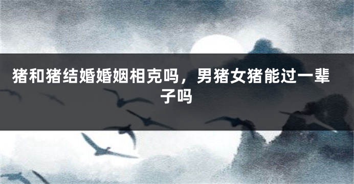 猪和猪结婚婚姻相克吗，男猪女猪能过一辈子吗
