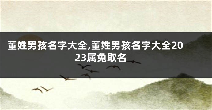 董姓男孩名字大全,董姓男孩名字大全2023属兔取名