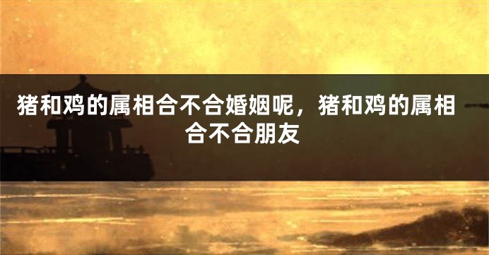 猪和鸡的属相合不合婚姻呢，猪和鸡的属相合不合朋友