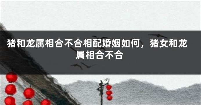 猪和龙属相合不合相配婚姻如何，猪女和龙属相合不合
