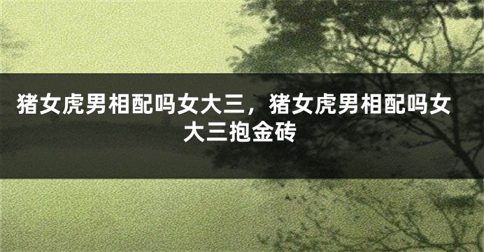猪女虎男相配吗女大三，猪女虎男相配吗女大三抱金砖