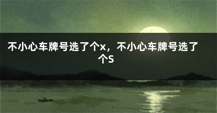 不小心车牌号选了个x，不小心车牌号选了个S