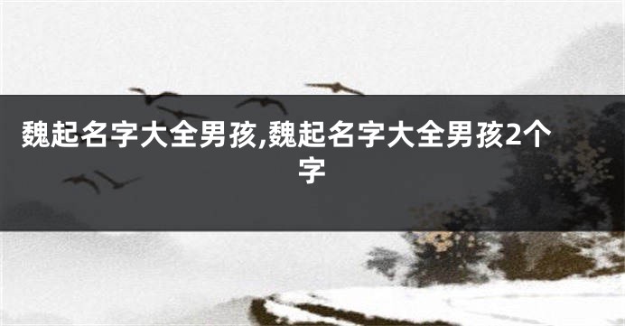 魏起名字大全男孩,魏起名字大全男孩2个字