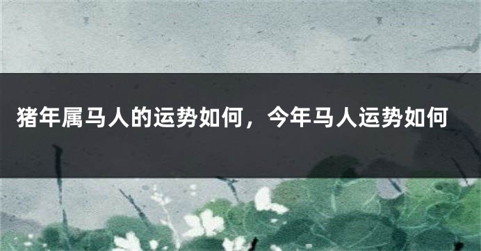 猪年属马人的运势如何，今年马人运势如何