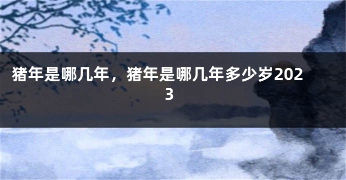 猪年是哪几年，猪年是哪几年多少岁2023