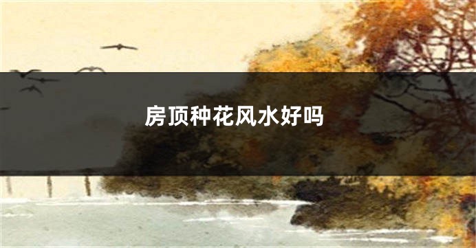 房顶种花风水好吗