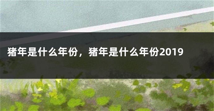 猪年是什么年份，猪年是什么年份2019