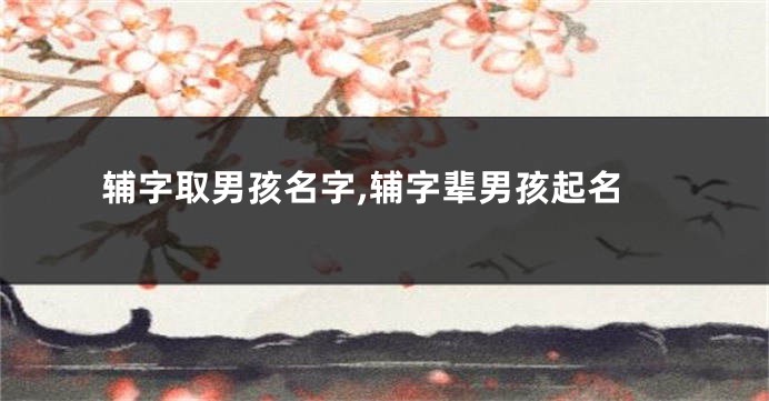 辅字取男孩名字,辅字辈男孩起名