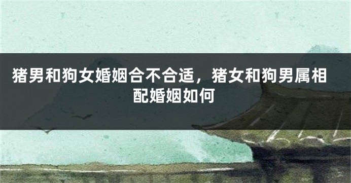 猪男和狗女婚姻合不合适，猪女和狗男属相配婚姻如何