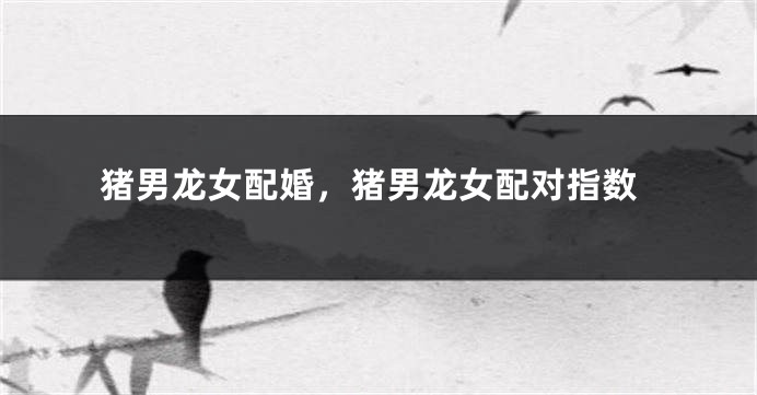 猪男龙女配婚，猪男龙女配对指数