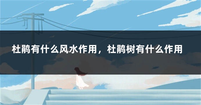 杜鹃有什么风水作用，杜鹃树有什么作用