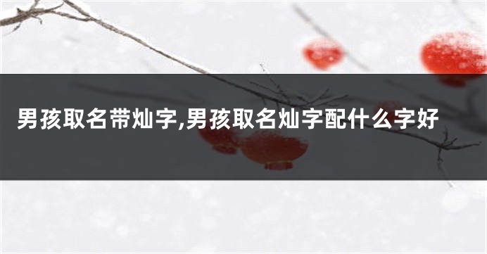 男孩取名带灿字,男孩取名灿字配什么字好