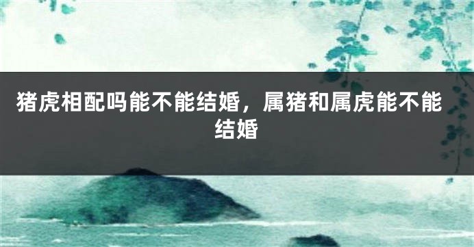 猪虎相配吗能不能结婚，属猪和属虎能不能结婚