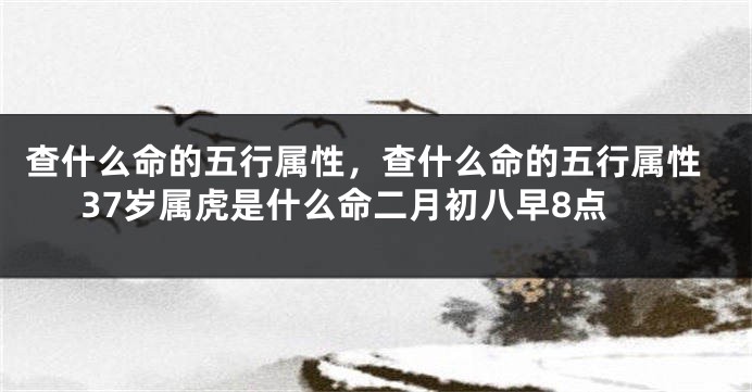 查什么命的五行属性，查什么命的五行属性37岁属虎是什么命二月初八早8点