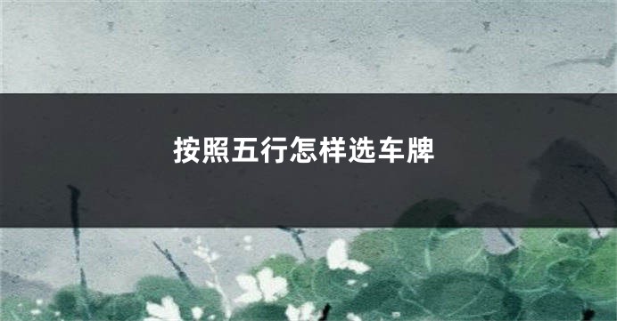 按照五行怎样选车牌