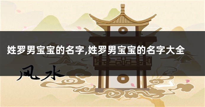 姓罗男宝宝的名字,姓罗男宝宝的名字大全