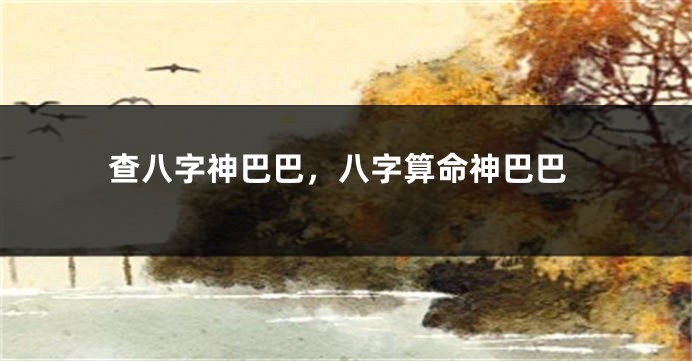 查八字神巴巴，八字算命神巴巴