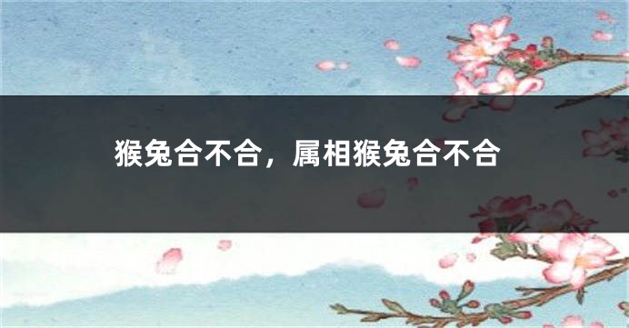 猴兔合不合,属相猴兔合不合
