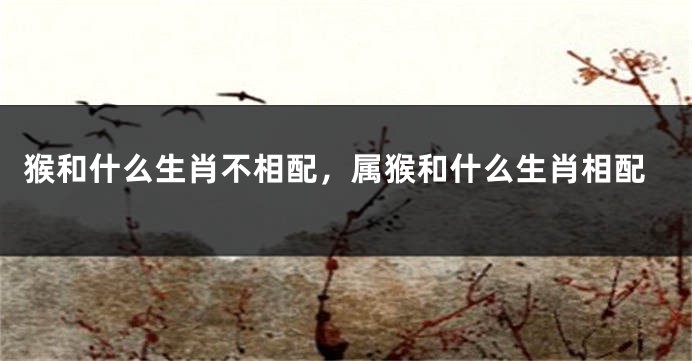 猴和什么生肖不相配，属猴和什么生肖相配