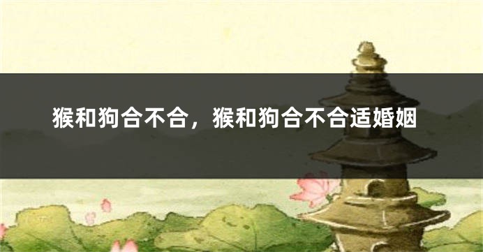 猴和狗合不合，猴和狗合不合适婚姻