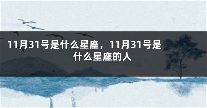 11月31号是什么星座，11月31号是什么星座的人