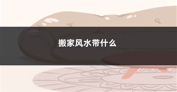 搬家风水带什么