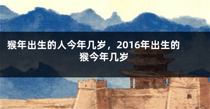 猴年出生的人今年几岁，2016年出生的猴今年几岁
