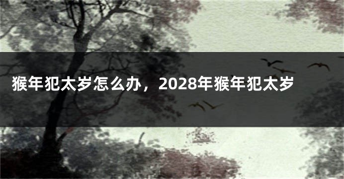 猴年犯太岁怎么办，2028年猴年犯太岁