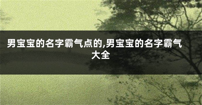 男宝宝的名字霸气点的,男宝宝的名字霸气大全