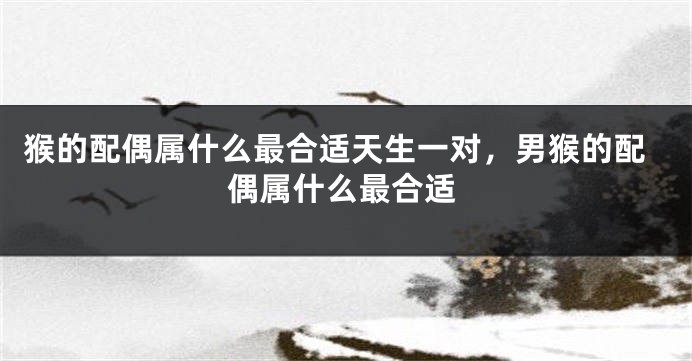 猴的配偶属什么最合适天生一对，男猴的配偶属什么最合适