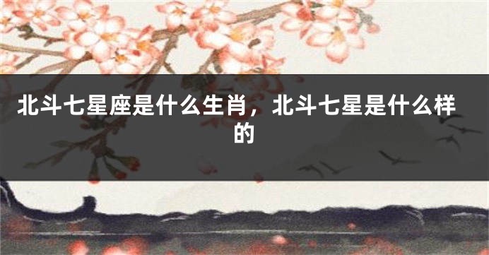 北斗七星座是什么生肖，北斗七星是什么样的