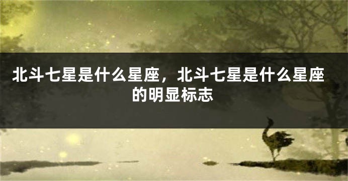 北斗七星是什么星座，北斗七星是什么星座的明显标志