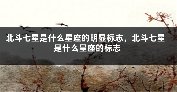 北斗七星是什么星座的明显标志，北斗七星是什么星座的标志