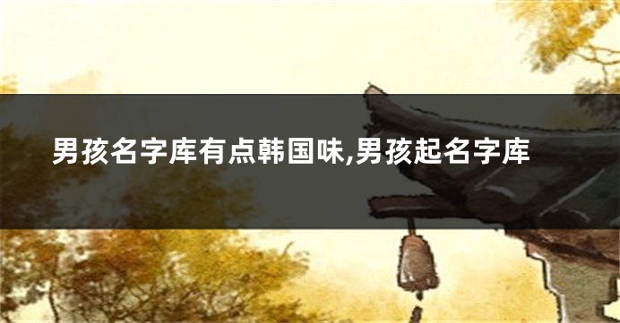 男孩名字库有点韩国味,男孩起名字库