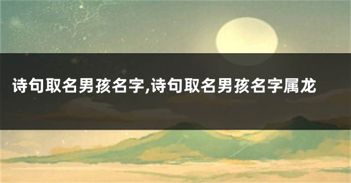 诗句取名男孩名字,诗句取名男孩名字属龙