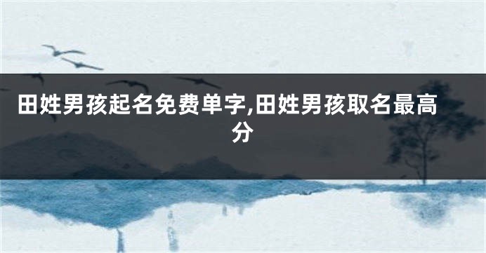 田姓男孩起名免费单字,田姓男孩取名最高分