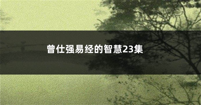 曾仕强易经的智慧23集