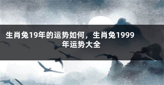 生肖兔19年的运势如何，生肖兔1999年运势大全