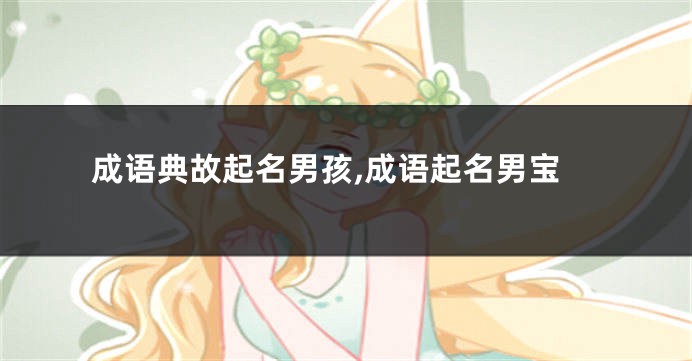 成语典故起名男孩,成语起名男宝