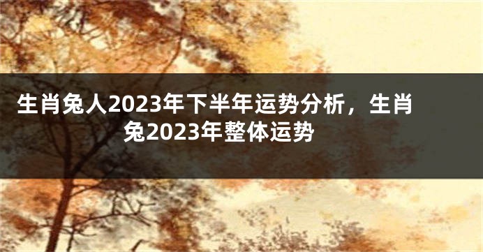 生肖兔人2023年下半年运势分析，生肖兔2023年整体运势