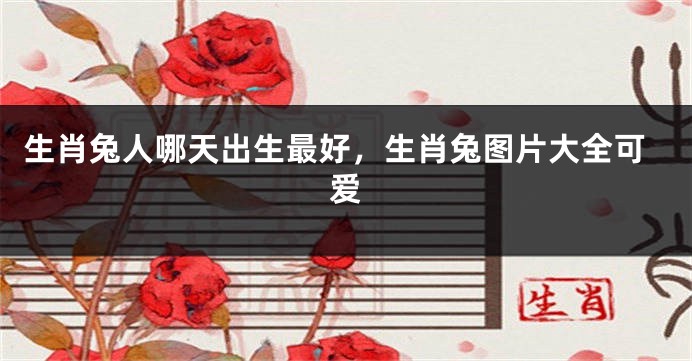 生肖兔人哪天出生最好，生肖兔图片大全可爱