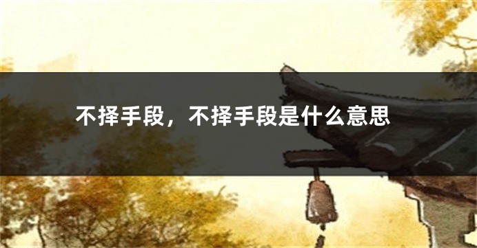 不择手段,不择手段是什么意思