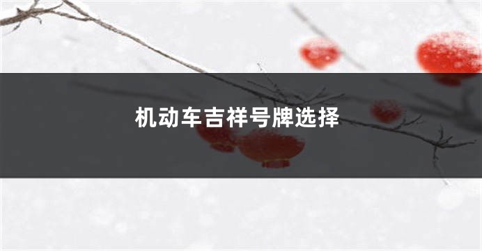 机动车吉祥号牌选择