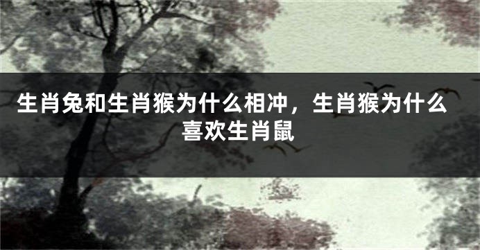 生肖兔和生肖猴为什么相冲，生肖猴为什么喜欢生肖鼠