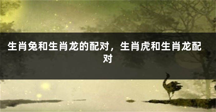 生肖兔和生肖龙的配对，生肖虎和生肖龙配对