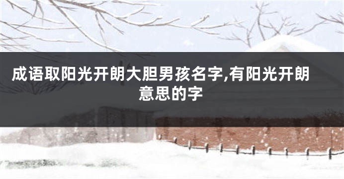 成语取阳光开朗大胆男孩名字,有阳光开朗意思的字