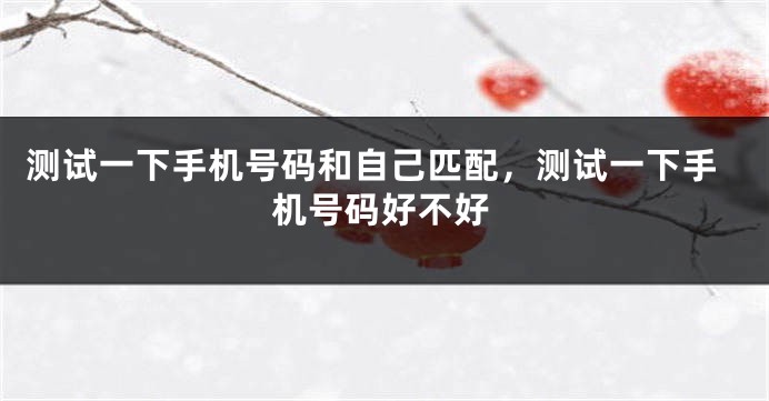 测试一下手机号码和自己匹配，测试一下手机号码好不好