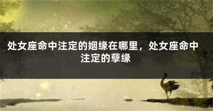 处女座命中注定的姻缘在哪里，处女座命中注定的孽缘