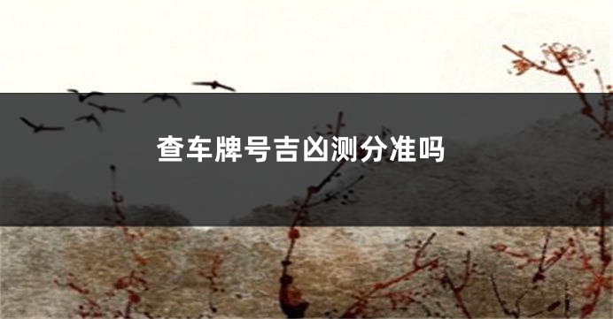 查车牌号吉凶测分准吗